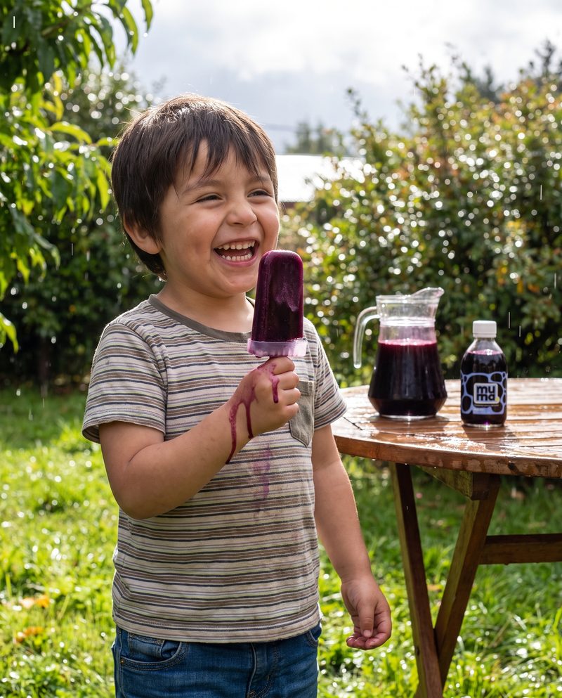 Paletas caseras de jugo muma
